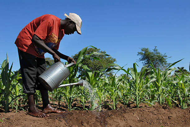 Agriculture Loan