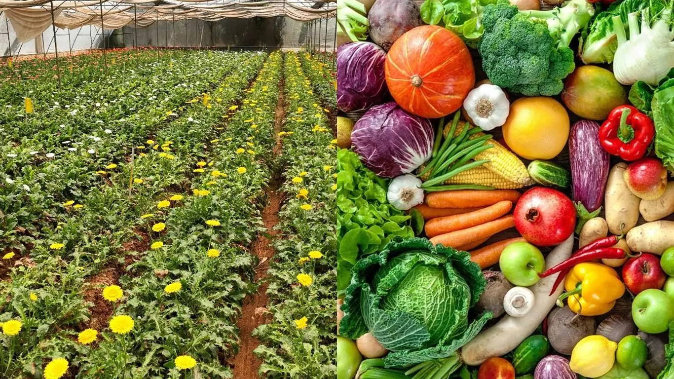 Horticulture Loan
