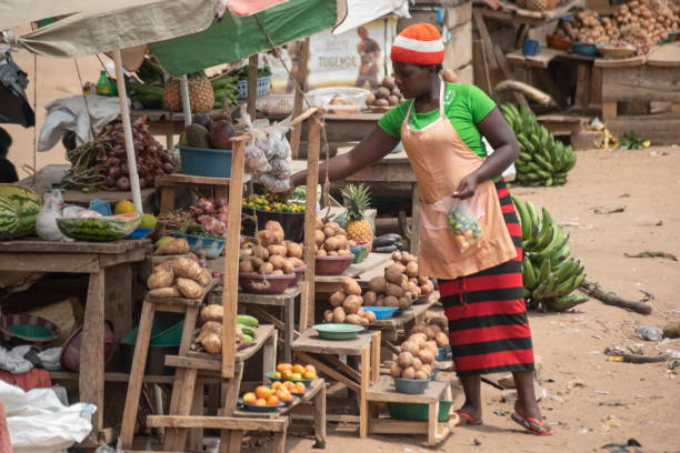Micro Loan